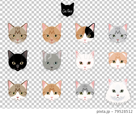 Cat face set 79528512