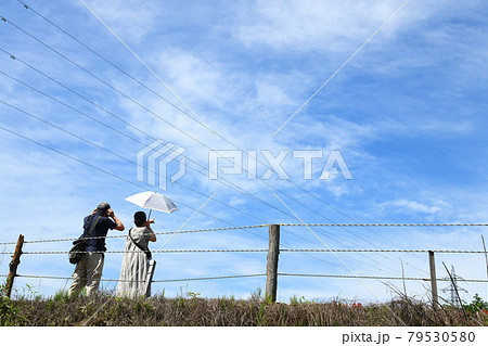 土手の上のシニア夫婦 79530580