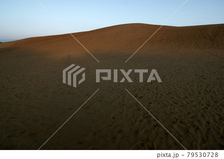 鳥取　四季の散歩　夏　鳥取砂丘 79530728