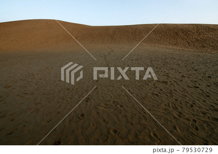 鳥取　四季の散歩　夏　鳥取砂丘 79530729