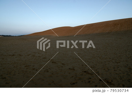 鳥取　四季の散歩　夏　鳥取砂丘 79530734