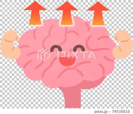 Activated brain 79530810