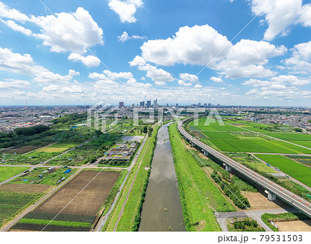「埼玉県」さいたま市　見沼田んぼと夏空 79531503