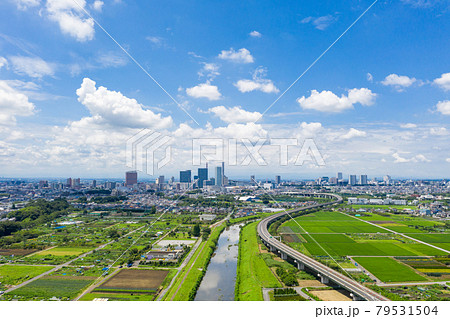 「埼玉県」さいたま市 見沼田んぼと夏空 「埼玉県」さいたま市 見沼田んぼと夏空 79531504