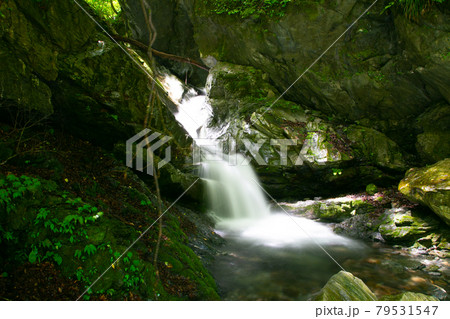 秩父・三峰登竜渓 秩父・三峰登竜渓 79531547