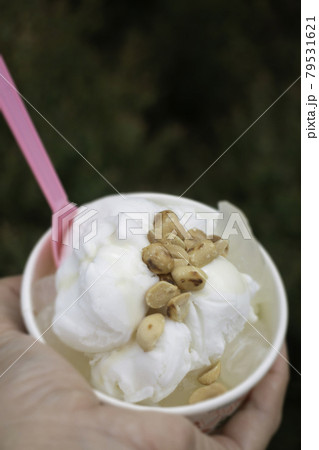 Thai style coconut milk ice cream 79531621