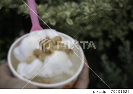 Thai style coconut milk ice cream 79531622