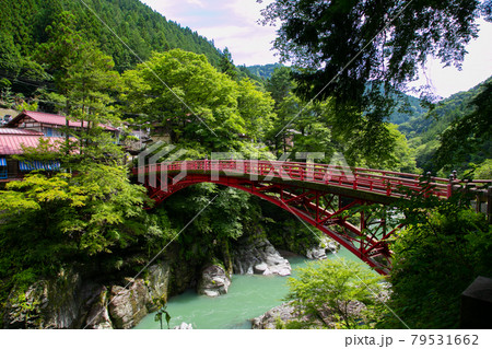 秩父・三峰登竜渓 79531662