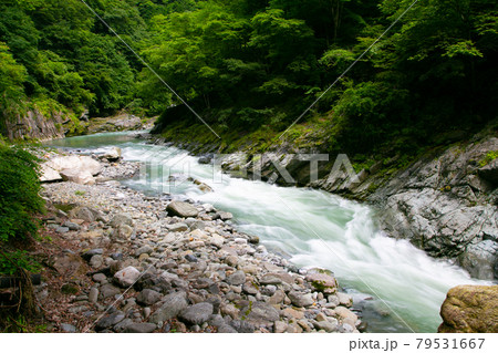 秩父・三峰登竜渓 秩父・三峰登竜渓 79531667