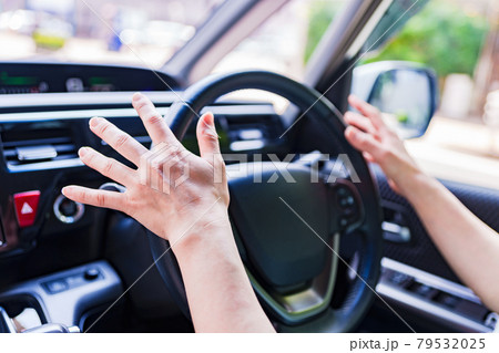 自動運転　オートパイロット　クルマ　AI 79532025