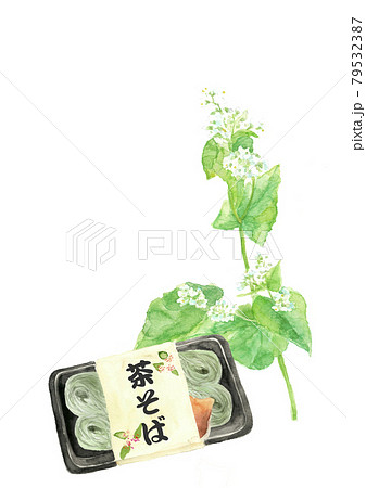 茶蕎麦セット  そばの花を背景に【手描き水彩画】白バック コピースペースありPNG 79532387
