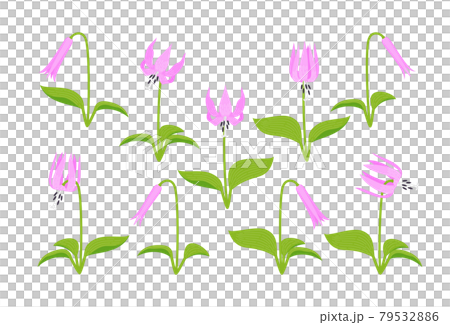 片栗套裝 79532886