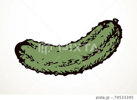 Small green cucumber. Vector drawing Small green cucumber. Vector drawing 79533395