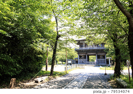 神奈川県横浜市金沢区の古刹・名刹鎌倉幕府の執権北条氏のゆかりの称名寺 79534074