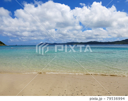 世界遺産 奄美大島の美しい倉崎海岸, 龍郷町, 大島郡, 鹿児島県, 日本 79536994