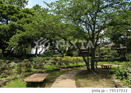 神奈川県横浜市金沢区野島公園にある伊藤博文別邸の夏 79537032