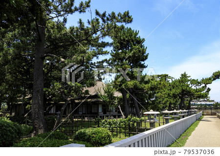 神奈川県横浜市金沢区野島公園にある伊藤博文別邸の夏 79537036