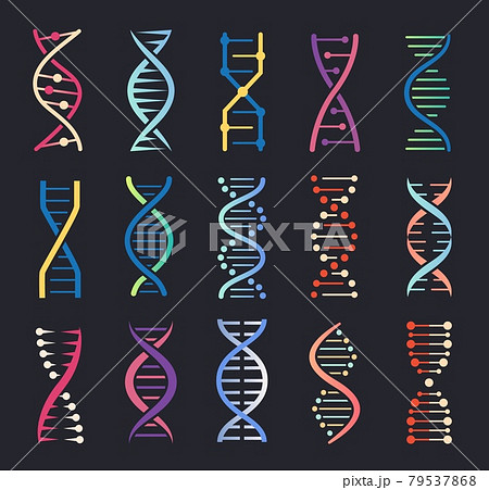 Dna Helix Icons. Gene Spiral Molecule...のイラスト素材 [79537868] - PIXTA