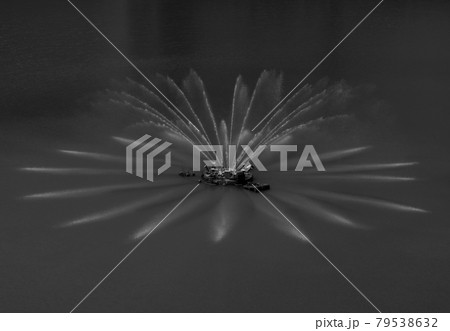 ダム湖に咲く花・・・ 79538632