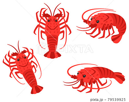 Illustration Set Of Spiny Lobster Stock Illustration