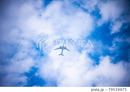 大空 飛び立つ 大空 飛び立つ 79539975