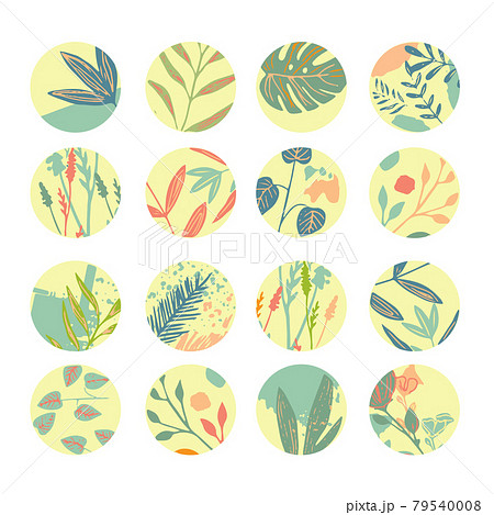 A set of abstract plants in the boho style A set of abstract plants in the boho style 79540008