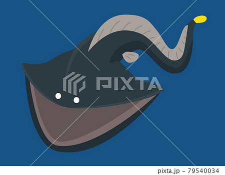 フクロウナギ/深海のイラスト素材 [79540034] - PIXTA