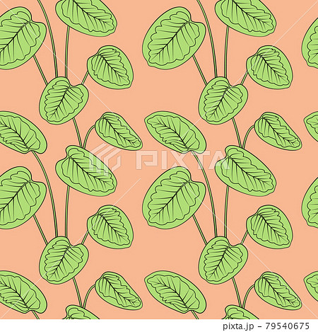 Tropical green calathea leaves black outline drawing seamless pattern. 79540675