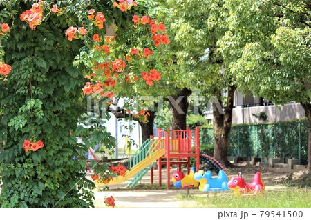 子供たちがいない公園で寂しそうな遊具の写真素材