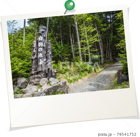 ポラロイド風写真　長野県　佐久穂町　白駒池 79541752