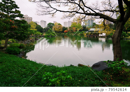 秋の長雨に見舞われる庭園 79542614