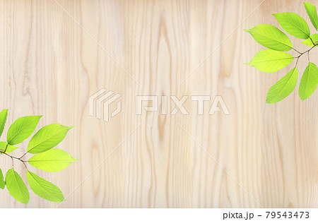 木目と新緑の葉っぱの背景素材の写真素材