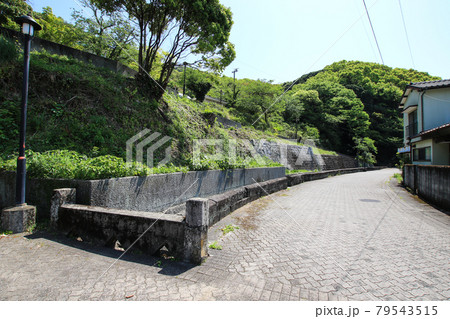 三角西港 79543515