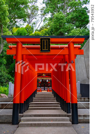 鳥居 鳥居 79543952