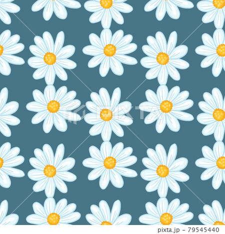 Vintage summer seamless pattern with cute daisy flowers ornament. Navy blue pale background. Bloom backdrop. Vintage summer seamless pattern with cute daisy flowers ornament. Navy blue pale background. Bloom backdrop. 79545440