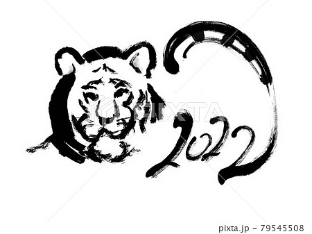 2022の文字のあるトラの筆描きイラスト素材 79545508