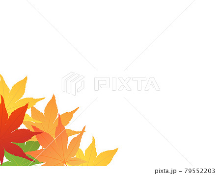 紅葉　秋イメージ素材 79552203