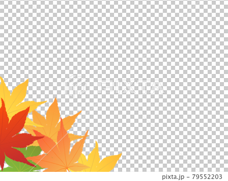 紅葉　秋イメージ素材 79552203