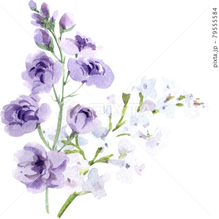 Summer Flower wedding watercolor 79555584
