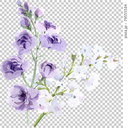 Summer Flower wedding watercolor 79555584