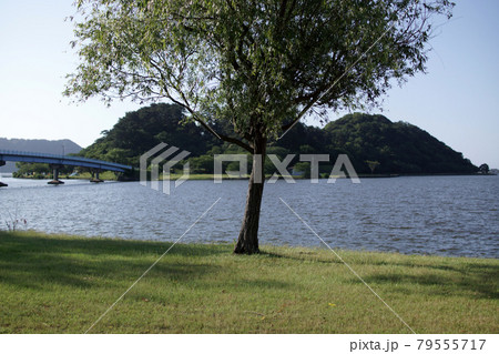 鳥取　四季の散歩　夏　青島　 79555717