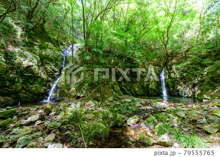 愛媛県西予市の三滝渓谷自然公園にある二見滝 愛媛県西予市の三滝渓谷自然公園にある二見滝 79555765