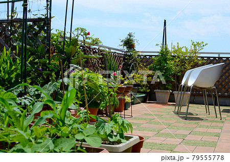 屋上庭園 ガーデニング&家庭菜園 休日の贅沢な時間 屋上庭園 ガーデニング&家庭菜園 休日の贅沢な時間 79555778