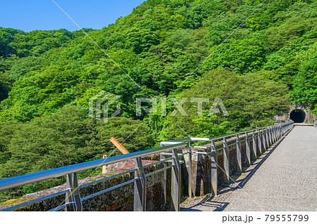 めがね橋 碓氷第三橋梁 橋梁上遊歩道から初夏の風景 めがね橋 碓氷第三橋梁 橋梁上遊歩道から初夏の風景 79555799