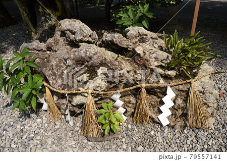 猿田彦神社(さるたひこじんじゃ)たから石/三重県伊勢市 猿田彦神社(さるたひこじんじゃ)たから石/三重県伊勢市 79557141