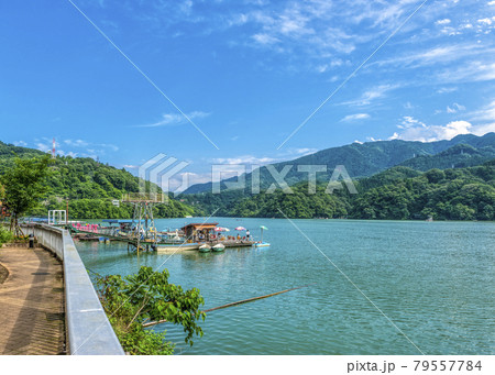 初夏の相模湖 神奈川県 初夏の相模湖 神奈川県 79557784