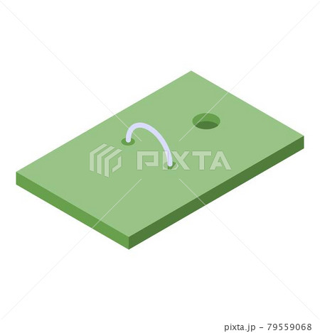 Croquet field icon, isometric style 79559068