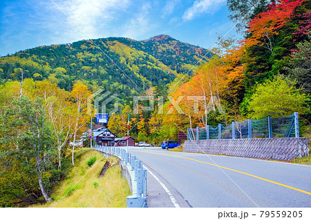 紅葉の金精峠 79559205