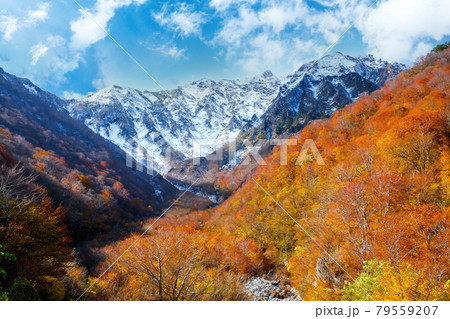 紅葉の谷川岳マチガ沢 79559207