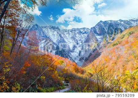 紅葉と冠雪の一ノ倉沢 紅葉と冠雪の一ノ倉沢 79559209